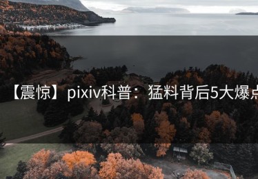 【震惊】pixiv科普：猛料背后5大爆点