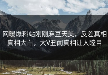 网曝爆料站刚刚麻豆天美，反差真相真相大白，大V丑闻真相让人瞠目