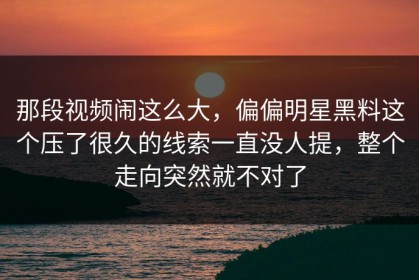 那段视频闹这么大，偏偏明星黑料这个压了很久的线索一直没人提，整个走向突然就不对了
