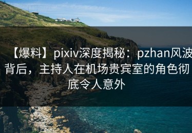 【爆料】pixiv深度揭秘：pzhan风波背后，主持人在机场贵宾室的角色彻底令人意外