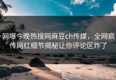 网曝今晚热搜网麻豆ch传媒，全网疯传网红细节揭秘让你评论区炸了