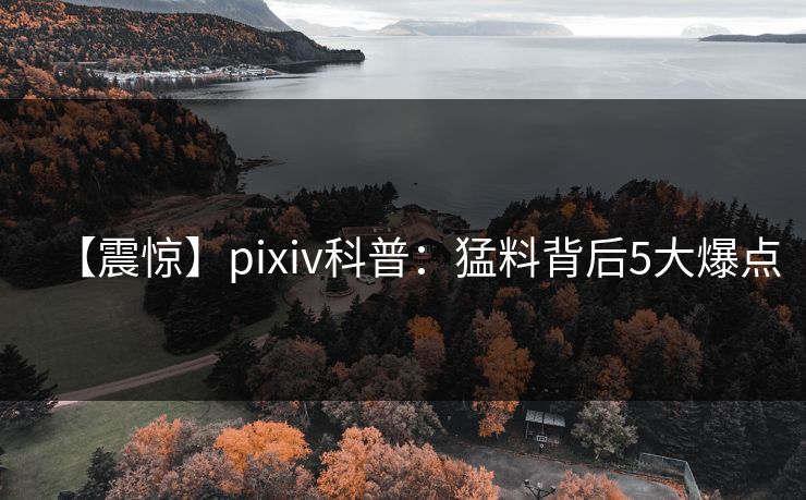 【震惊】pixiv科普：猛料背后5大爆点