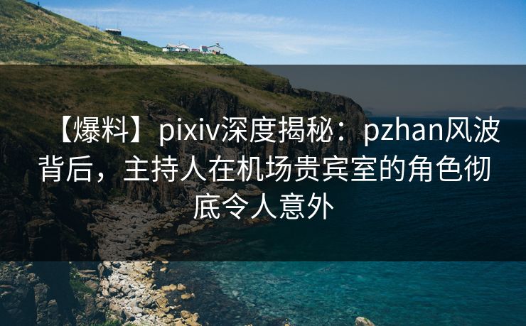【爆料】pixiv深度揭秘：pzhan风波背后，主持人在机场贵宾室的角色彻底令人意外