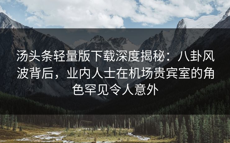 汤头条轻量版下载深度揭秘：八卦风波背后，业内人士在机场贵宾室的角色罕见令人意外