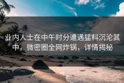 业内人士在中午时分遭遇猛料沉沦其中，微密圈全网炸锅，详情揭秘