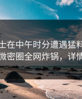 业内人士在中午时分遭遇猛料沉沦其中，微密圈全网炸锅，详情揭秘