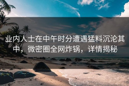 业内人士在中午时分遭遇猛料沉沦其中，微密圈全网炸锅，详情揭秘
