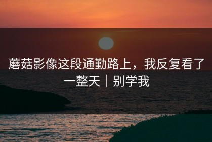 蘑菇影像这段通勤路上，我反复看了一整天｜别学我