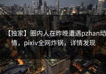 【独家】圈内人在昨晚遭遇pzhan动情，pixiv全网炸锅，详情发现