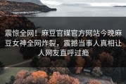 震惊全网！麻豆官媒官方网站今晚麻豆女神全网炸裂，震撼当事人真相让人网友直呼过瘾