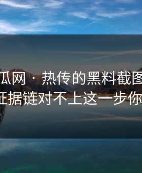 黑料吃瓜网 · 热传的黑料截图 · 核查后发现证据链对不上这一步你做了吗？