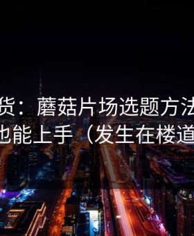 只讲干货：蘑菇片场选题方法，新手也能上手（发生在楼道）