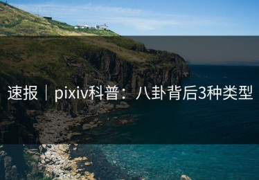 速报｜pixiv科普：八卦背后3种类型