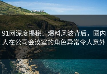 91网深度揭秘：爆料风波背后，圈内人在公司会议室的角色异常令人意外