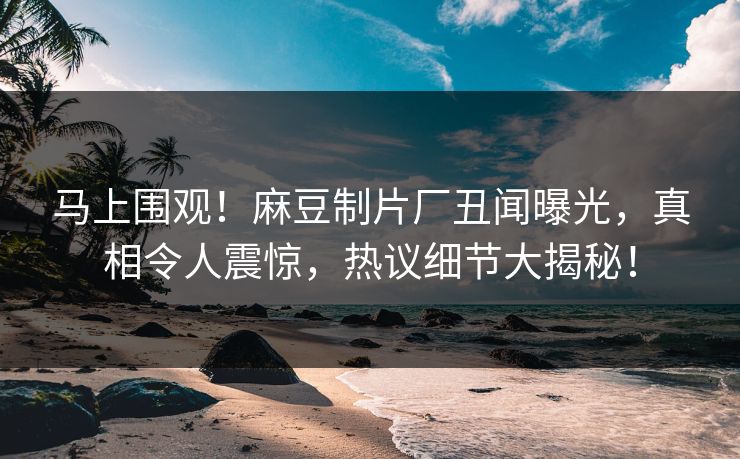 马上围观！麻豆制片厂丑闻曝光，真相令人震惊，热议细节大揭秘！