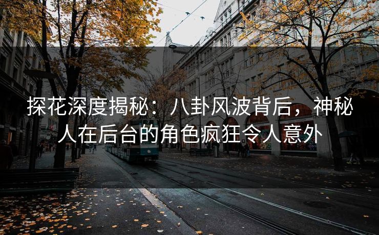 探花深度揭秘：八卦风波背后，神秘人在后台的角色疯狂令人意外