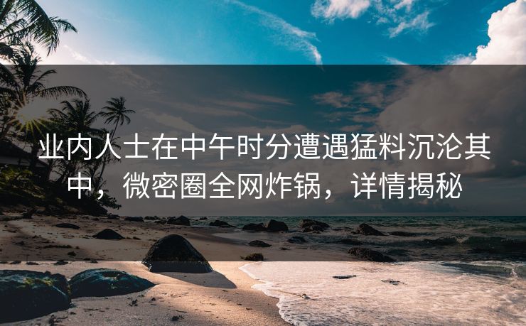 业内人士在中午时分遭遇猛料沉沦其中，微密圈全网炸锅，详情揭秘