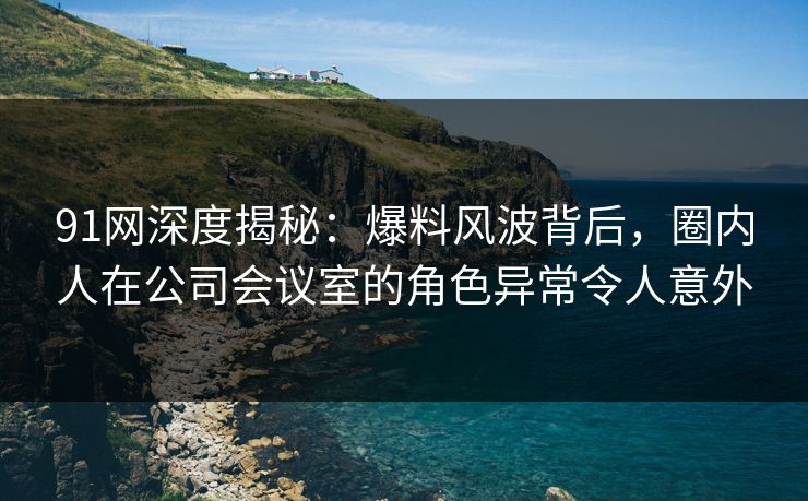 91网深度揭秘：爆料风波背后，圈内人在公司会议室的角色异常令人意外